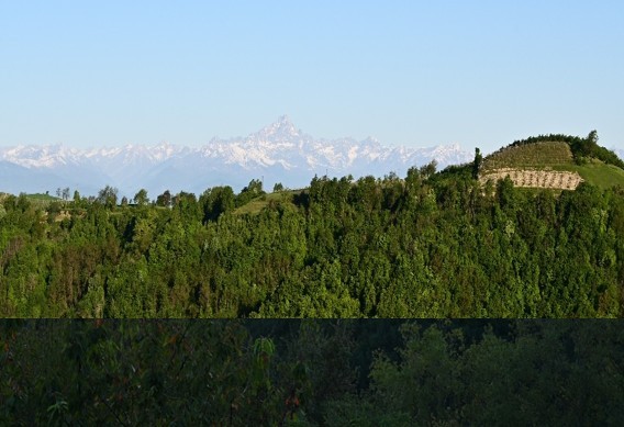 Borgata Bellavista