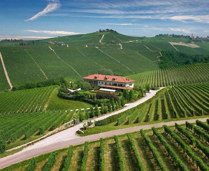 Alba en Barolo